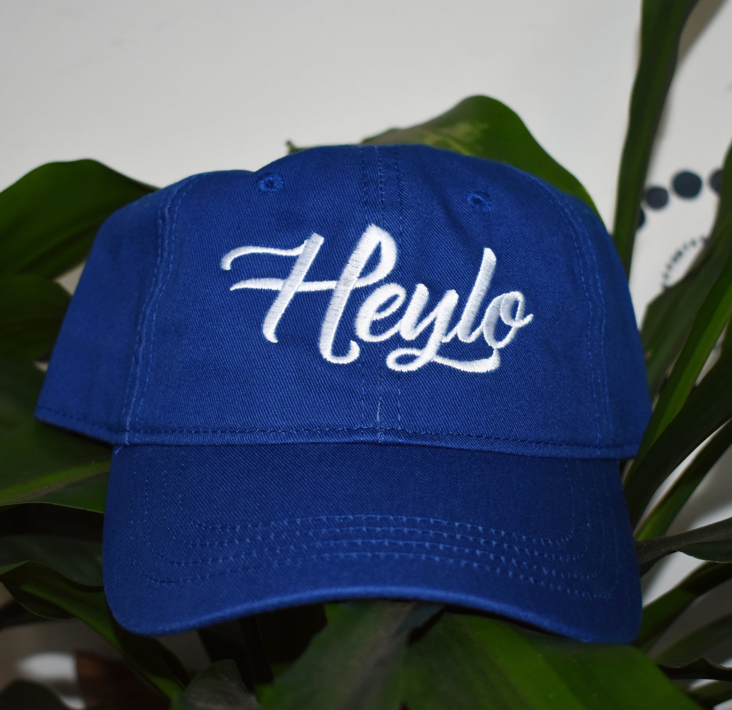 Heylo Dad Hat