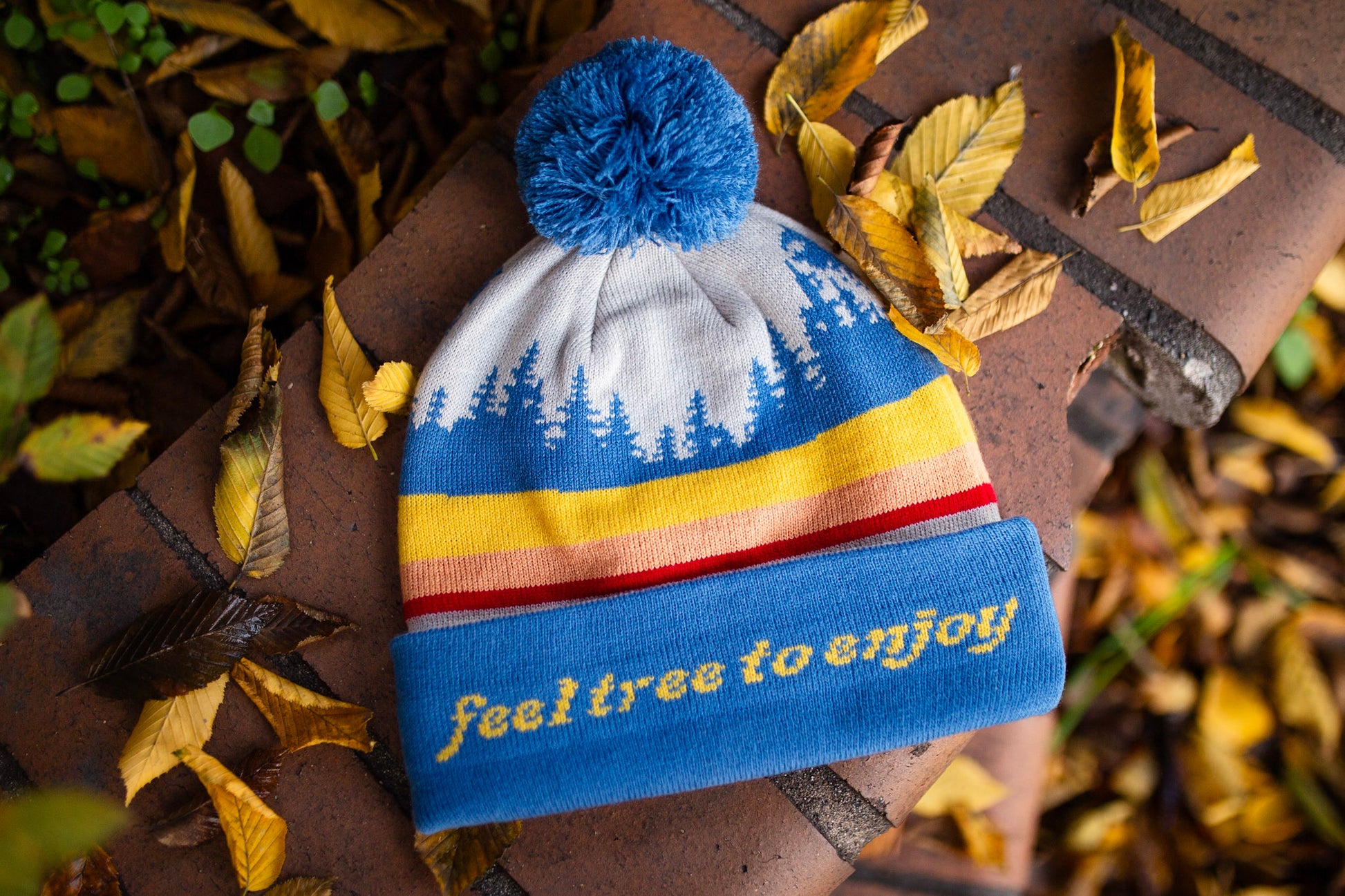 Retro Treehaus Pom Beanie